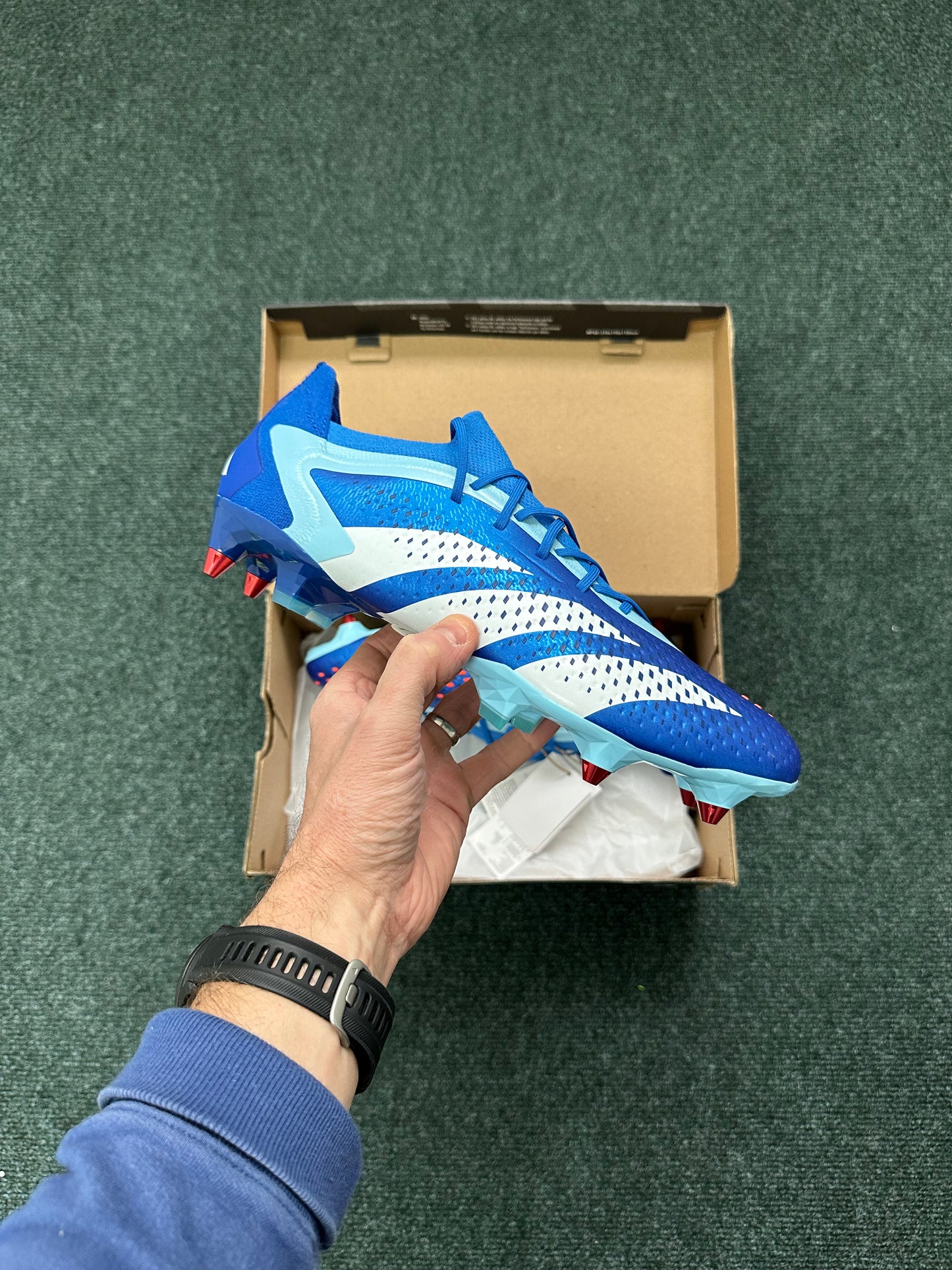Adidas Predator Accuracy .1 Low SG