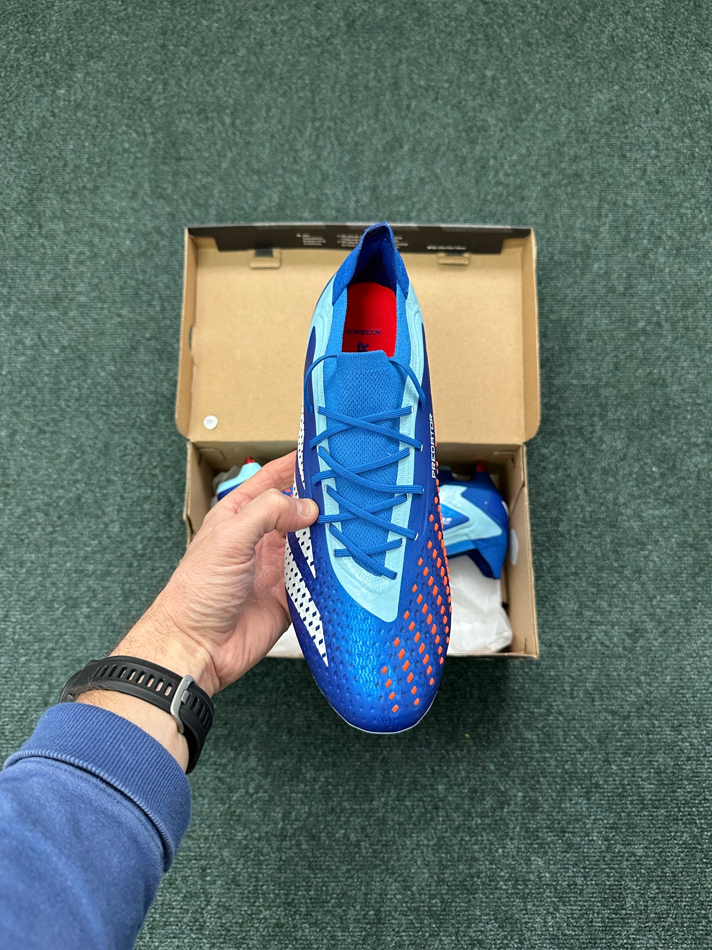Adidas Predator Accuracy .1 Low SG